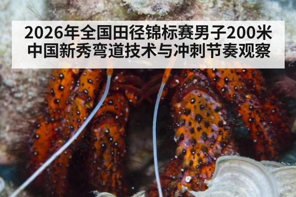 2026年全国田径锦标赛男子200米 中国新秀弯道技术与冲刺节奏观察